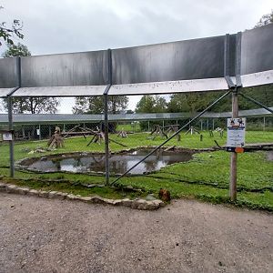 Ebbs Raritätenzoo - Barbary macaque enclosure