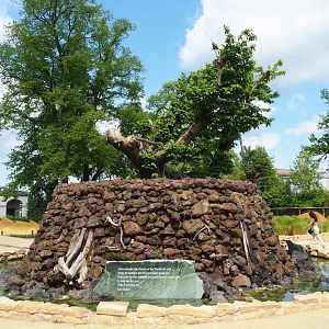 "Egg of the World" entrance area, Central "Tree of life", 2023-05-16