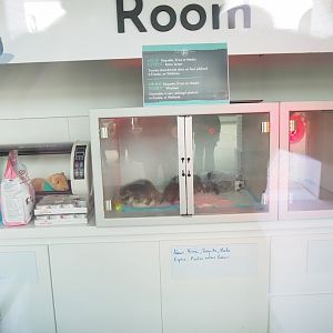 Nursery and recovery incubators, 2023-05-16