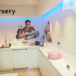 Bird nursery, 2023-05-16