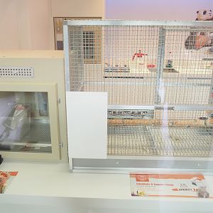 Bird nursery - Incubator and raising cage for cockatoo chicks, 2023-05-16