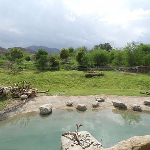 Black rhino and mixed African species enclosure