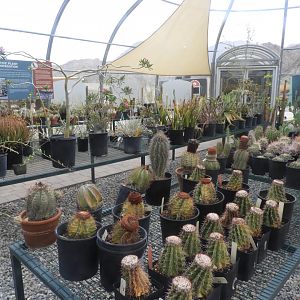 Inside the desert plant conservation centre