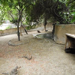 Mountain tapir enclosure