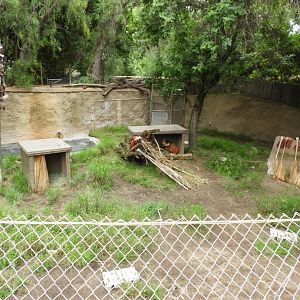Maned wolf enclosure