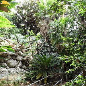 Inside walk-through aviary