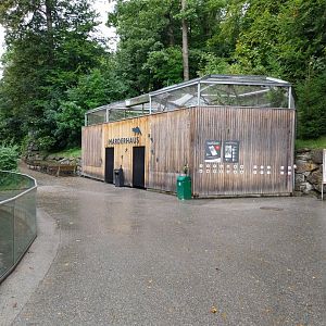Marderhaus - Pine Marten House