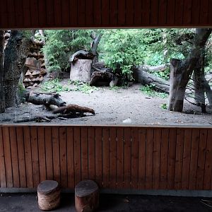 Marderhaus - Pine Marten House