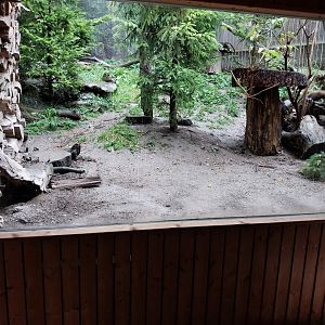 Marderhaus - Pine Marten House