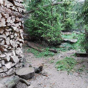 Marderhaus - Pine Marten House