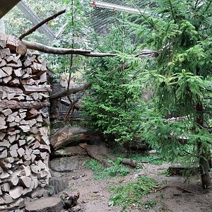 Marderhaus - Pine Marten House