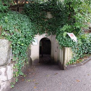 Wolf's den viewing gpoint