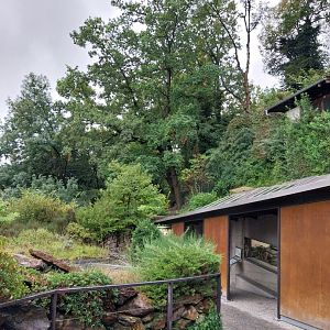 Open-air terrarium - General view