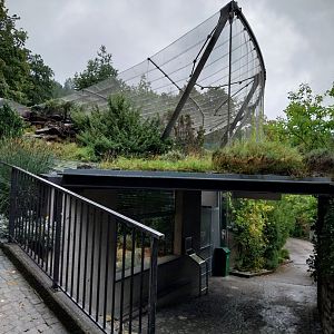 Open-air terrarium and Waldrapp aviary