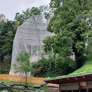 Griffon vulture aviary