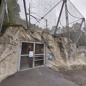 Griffon vulture aviary