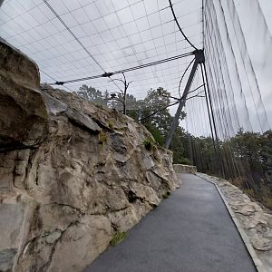 Griffon vulture aviary
