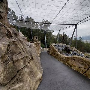 Griffon vulture aviary