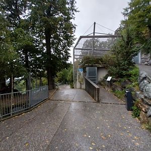 Bearded vulture aviary viewing point