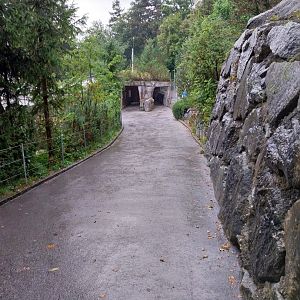 Towards the aviaries for rock ptarmigan and Alpine rock partridge