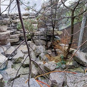 Aviaries for rock ptarmigan and Alpine rock partridge
