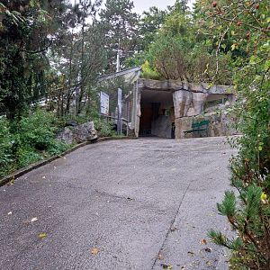 Towards the aviaries for rock ptarmigan and Alpine rock partridge