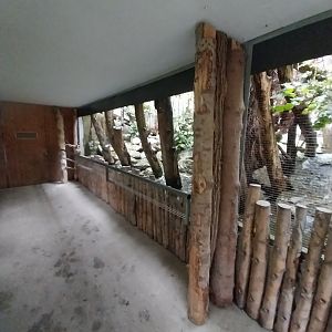 Woodland aviary viewing point