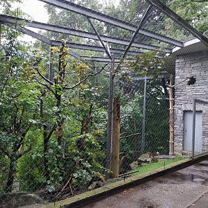 Paul Flora Rabenturm