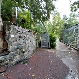 Cinereous vulture aviary entrance