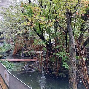 Auwald aviary - General view