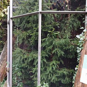 Auwald aviary - Goldcrest aviary