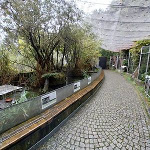 Auwald aviary - General view
