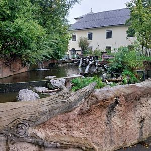 Eurasian beaver enclosure