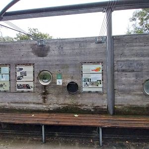 European wildcat viewing point