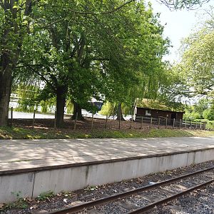 Pairi Daiza Steam Railway ride - Chilean flamingo exhibit between train station and lake, 2023-05-16