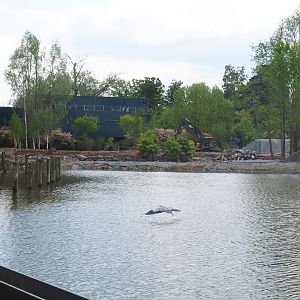 Pairi Daiza Steam Railway ride - View of future Japanese world "The Land of the Rising Sun" under construction and Mersus Emergo, 2023-05-16