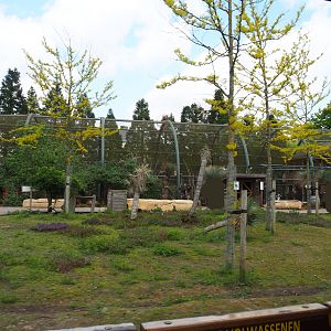 Pairi Daiza Steam Railway ride - Southern Cape Australia area - Kangaroo walk-through and Australian aviary, 2023-05-16