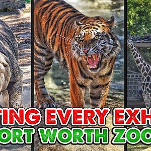 Rating Every Exhibit at the Forth Worth Zoo