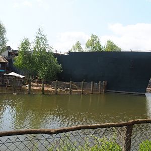 Pairi Daiza Steam Railway ride - Mersus Emergo, Pygmy hippopotamus exhibit and African stilt village 2023-05-16