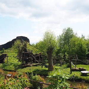 Pairi Daiza Steam Railway ride - Western lowland gorilla island, 2023-05-16