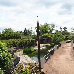 Pairi Daiza Steam Railway ride - Hippopotamus exhibit and walkway in The Land of Origins, 2023-05-16