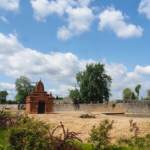 Pairi Daiza Steam Railway ride - First large Asian elephant paddock, 2023-05-16