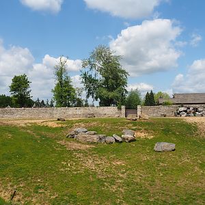 Pairi Daiza Steam Railway ride - First large Asian elephant paddock, 2023-05-16