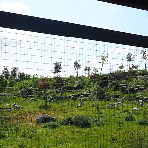 Pairi Daiza Steam Railway ride - Blackbuck and Tajik markhor exhibit, 2023-05-16