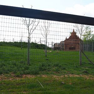 Pairi Daiza Steam Railway ride - Blackbuck and Tajik markhor exhibit, 2023-05-16