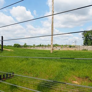 Pairi Daiza Steam Railway ride - Second large Asian elephant paddock, 2023-05-16