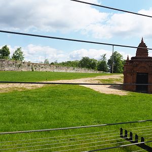 Pairi Daiza Steam Railway ride - Second large Asian elephant paddock, 2023-05-16