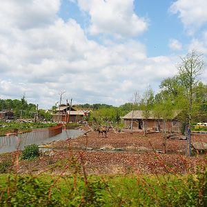 Pairi Daiza Steam Railway ride - American black bear and European moose exhibits in The Last Frontier, 2023-05-16
