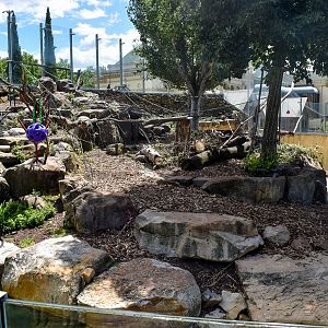 Japanese Macaque enclosure