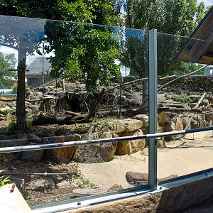 Japanese Macaque enclosure